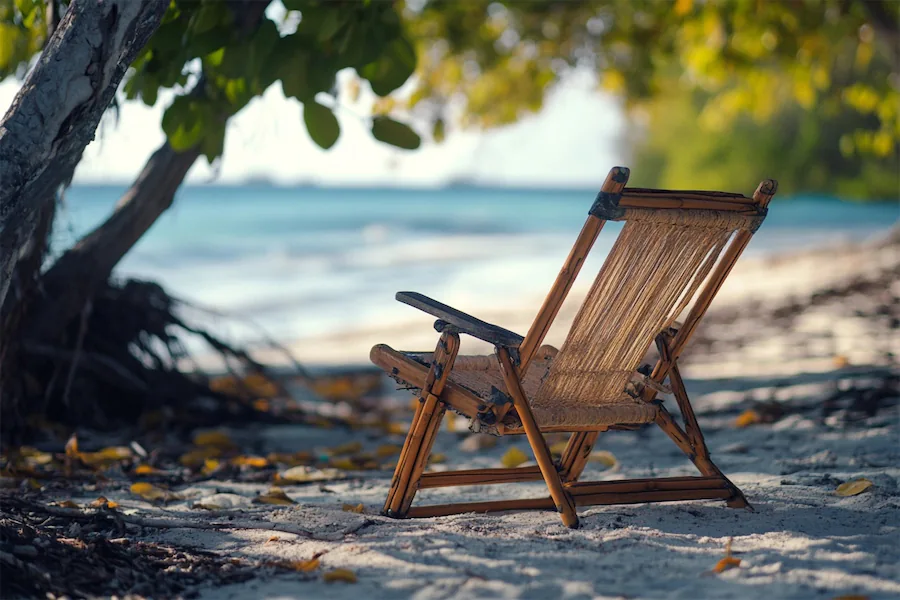 Beach Chair Cover