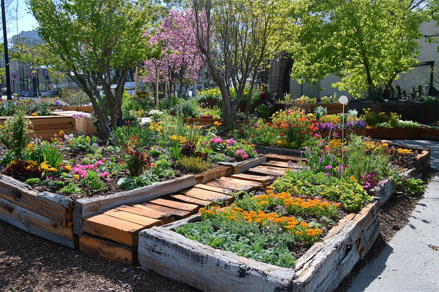 Edible Garden Cover