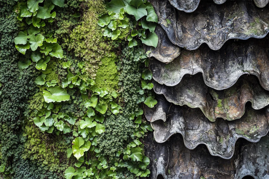 Organic Wall Cover