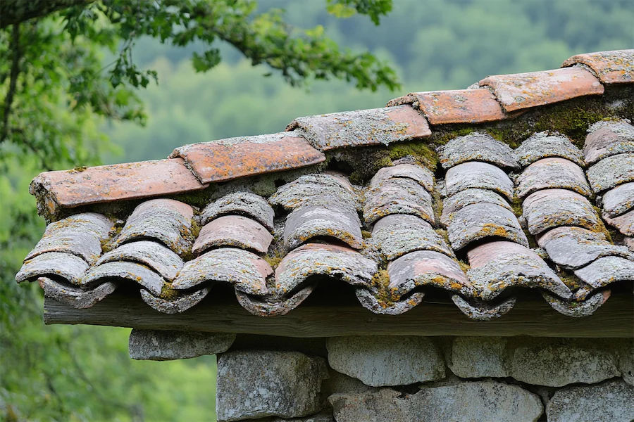 Rustic Roof Cover