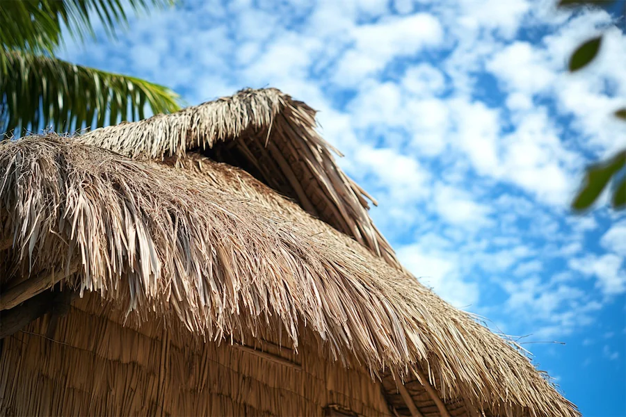 Thatch Roof Cover