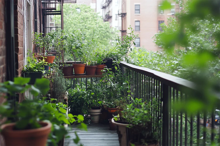 Urban Balcony Garden Cover